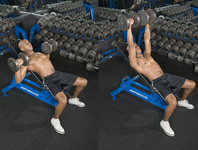 Жим гантелей на скамье с уклоном вверх