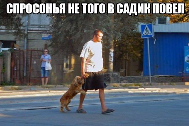 587399453.jpeg