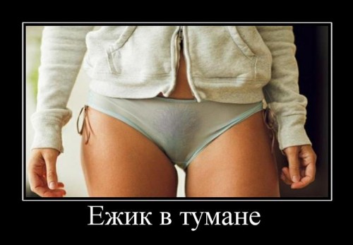 http://s0.tchkcdn.com/fun/g2/s/1/1/3/2/8132/125692.jpeg