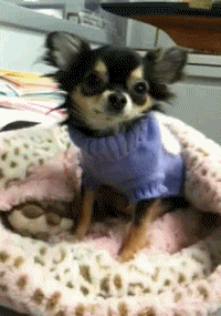 [Зображення: 215465_2636.gif]
