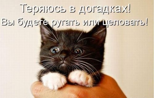 193075_f87.jpeg