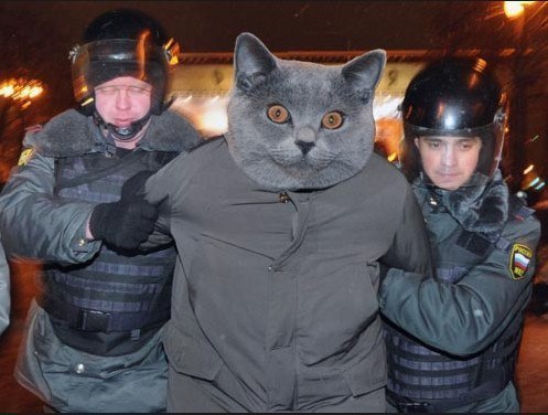 Лучшие секс лозунги