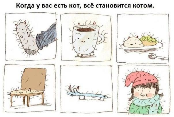 Конкурсы смешные и прикольные на др Конкурсы смешные и прикольные на др