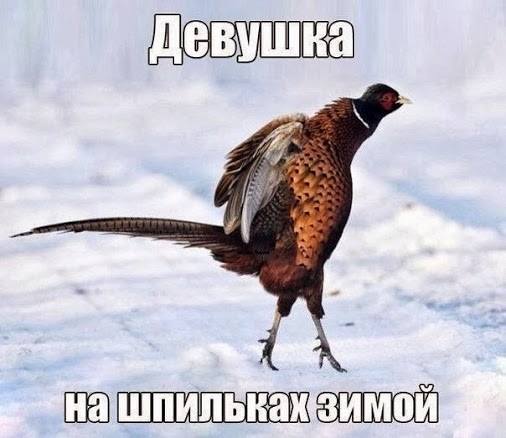 девушка