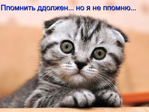 Конкурсы самые пошлые Конкурсы самые пошлые