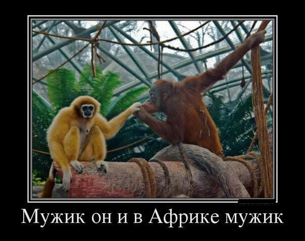 Демотиватор про настоящих мужиков Демотиватор про настоящих мужиков