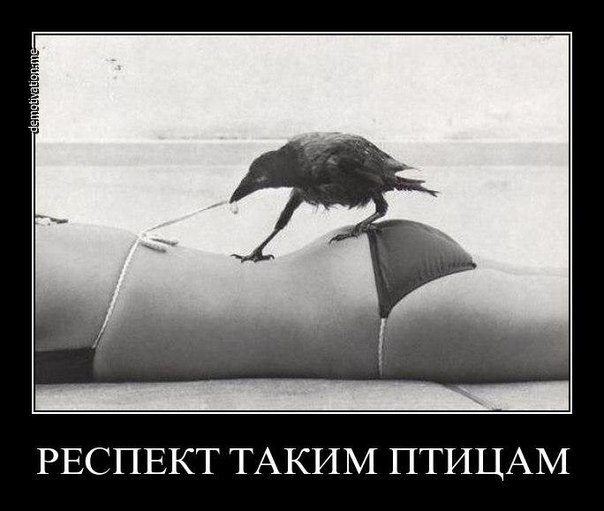 http://s0.tchkcdn.com/fun/g2/s/1/7/1/7/13717/210603_960.jpeg