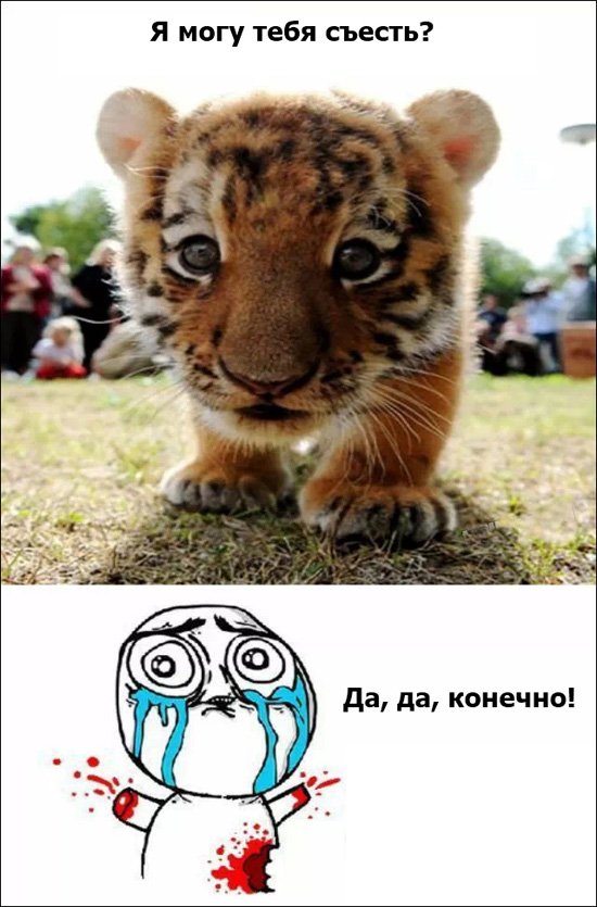 Смешные фууу комиксы Смешные фууу комиксы