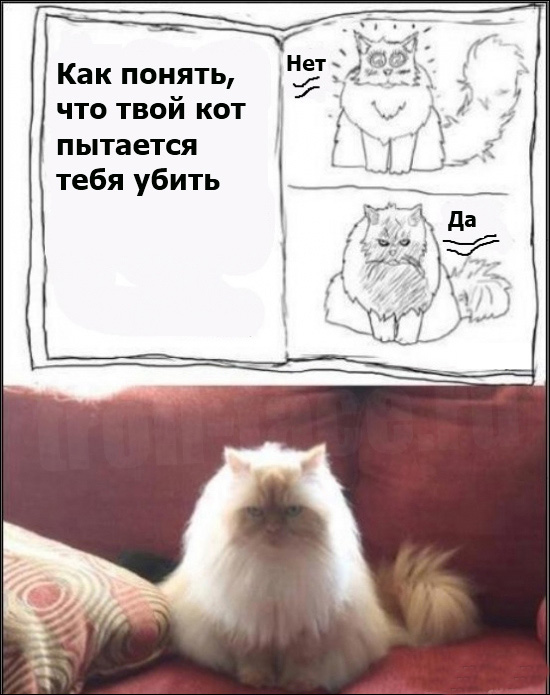 Смешные фууу комиксы Смешные фууу комиксы