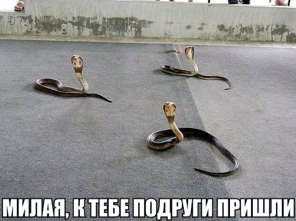 811870779.jpeg