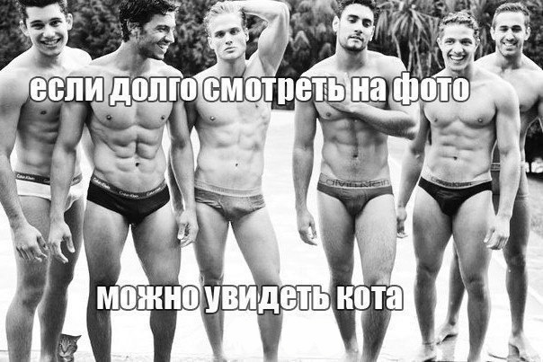 Эротический прикол с котиком Эротический прикол с котиком