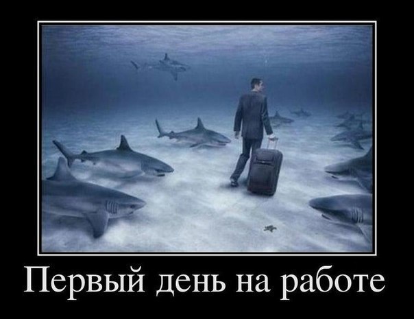 Модные игры вконтакте 188