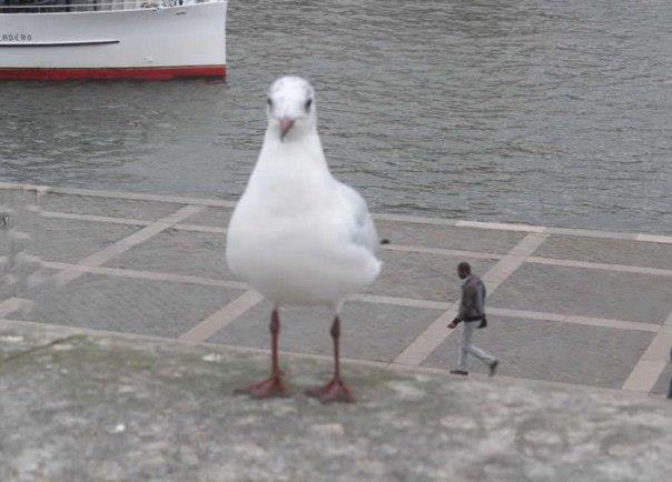 260612.jpeg