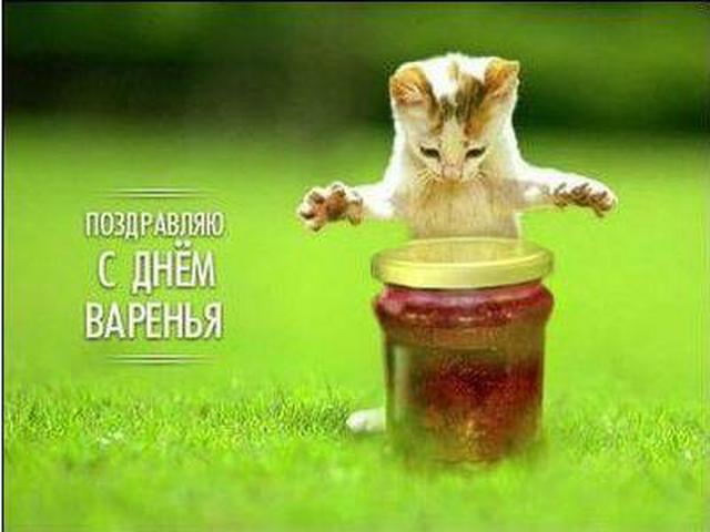 Смешные поздравления с днём рождения фото картинки 9