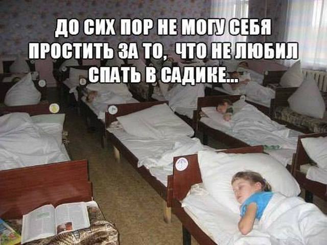 Прикольные вещи в сад Прикольные вещи в сад