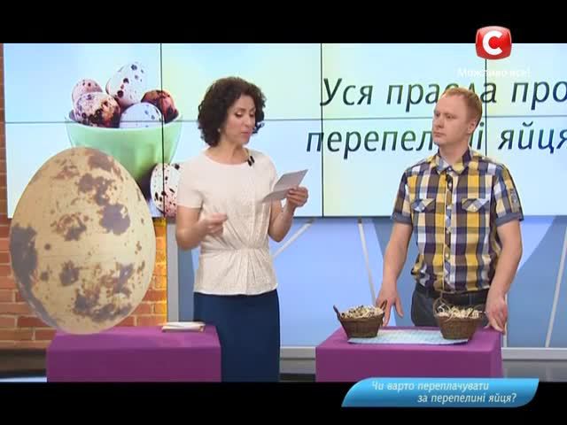 Конкурсы все буде добре Конкурсы все буде добре
