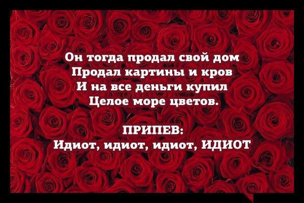 Крылатые фразы весёлые Крылатые фразы весёлые