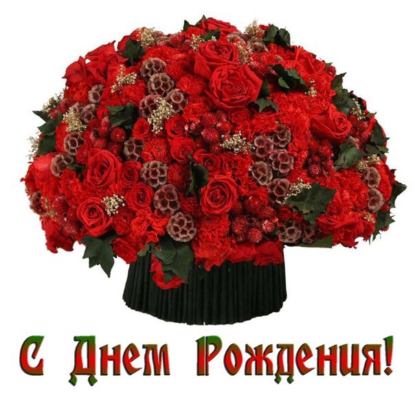 Поздравления на день рождения фариды Поздравления на день рождения фариды