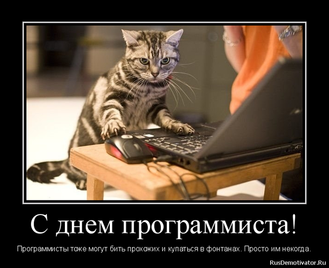 0c7ae026f14895c0320b8c6244933bda_pozdravleniya_s_dnem_programmista_1.jpg