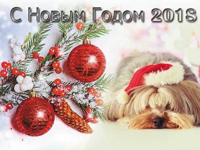 Новогодние открытки на год Собаки (2018) с поздравлениями, скачать бесплатно Новогодние открытки на год Собаки (2018) с поздравлениями, скачать бесплатно