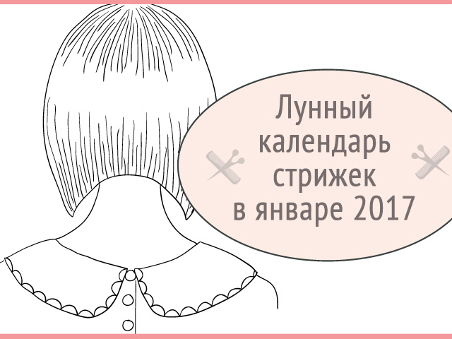 Бизнес календарь стрижек Бизнес календарь стрижек