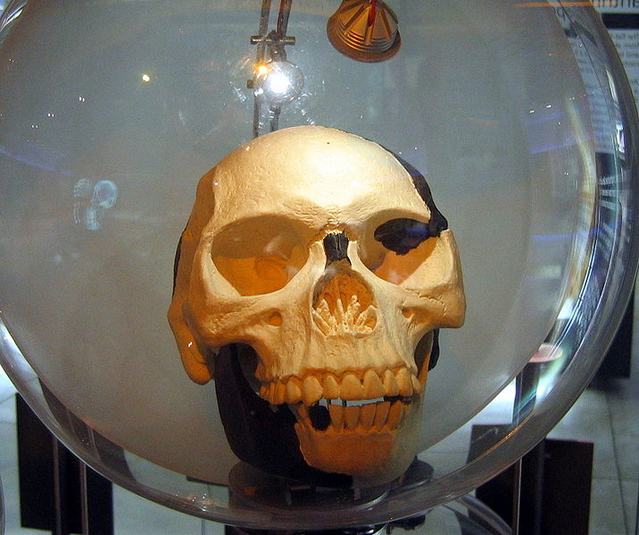Копия черепа Пилтдаунского человека