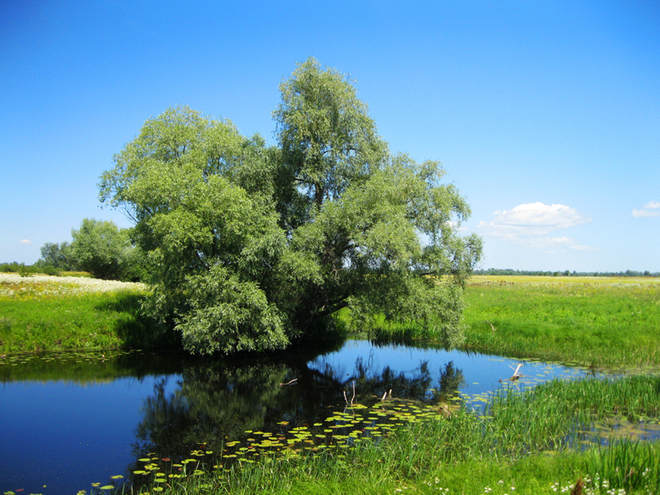 Відпочинок під Києвом на День Незалежності 2016: дивовижні місця