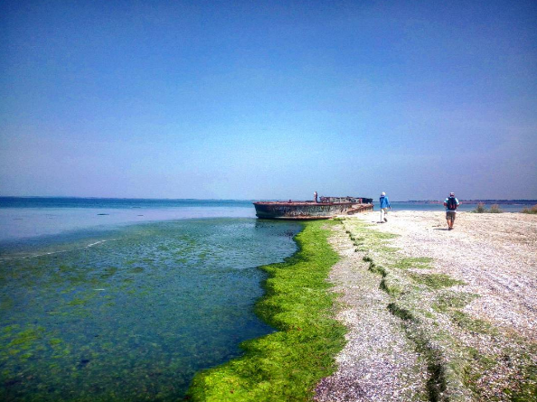 Кінбурнська коса: найчистіше море і найкрасивіша дика природа в Україні