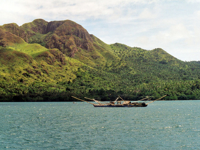 Абстракция природы: радужный эвкалипт на острове Минданао (фото)