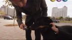 Как соблазнить девушку без денег?