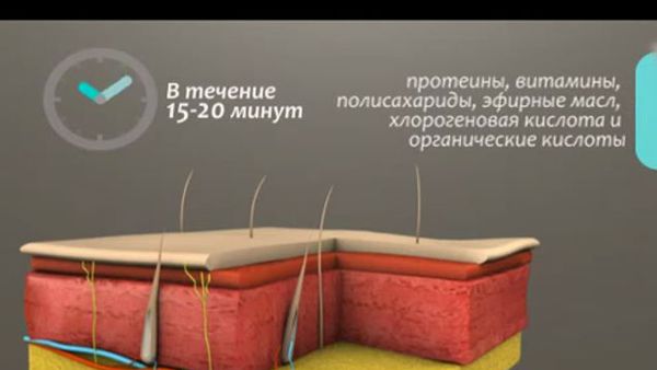 Эффективные диеты для похудения на 30 кг
