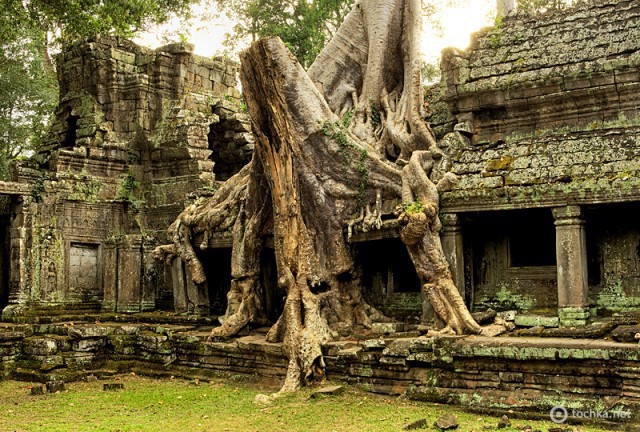 Ангкор за один день: храм Преа Кхан