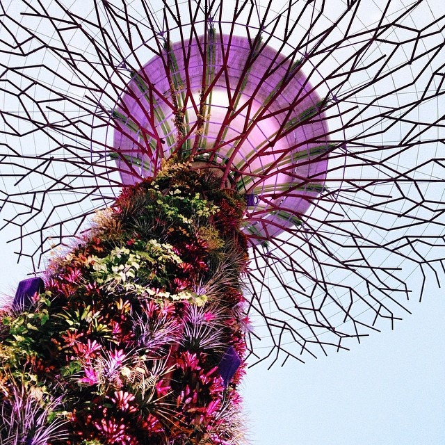 Достопримечательности Сингапура в Instagram: восхитительные фото