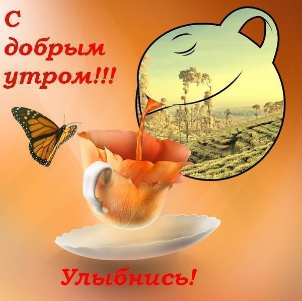 Поздравления для девушки с днем рождения прикольные Поздравления для девушки с днем рождения прикольные
