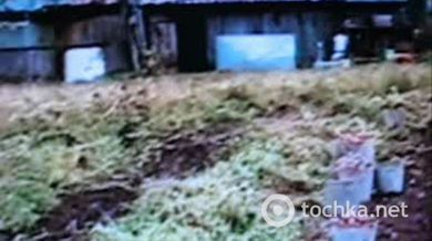 НИВА -мини трактор    