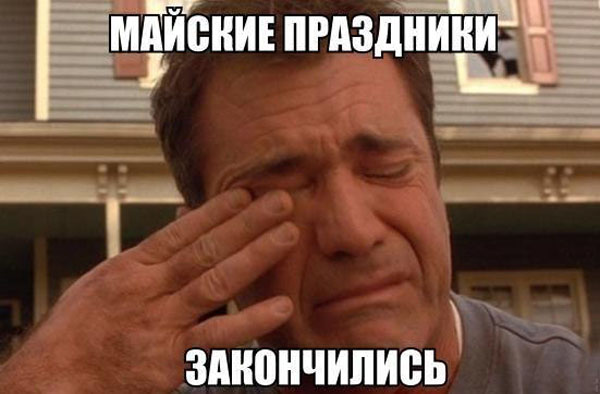 264652.jpeg