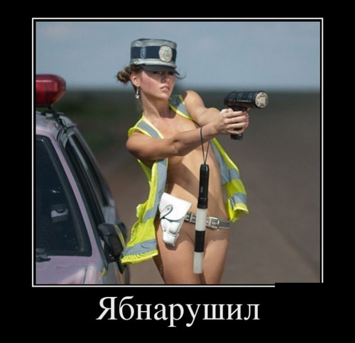 233823.jpeg