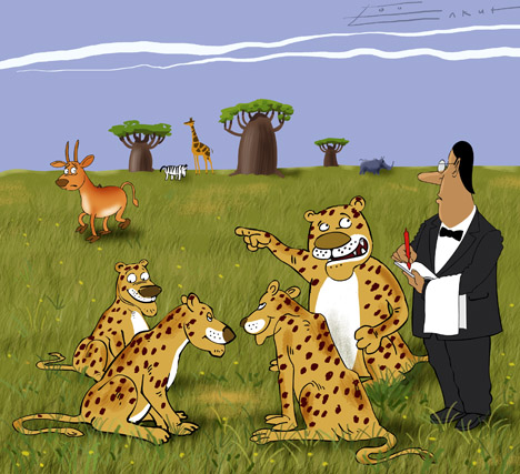 Ресторан для животных Ресторан для животных