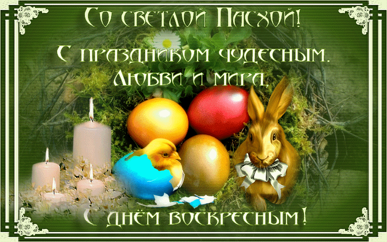 http://s0.tchkcdn.com/cards/g2/s/1/3/2/2/6322/248b14e5084bbc9bf167bbe87cbd8b37_194447.gif