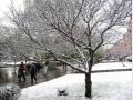 люди на фоне снега