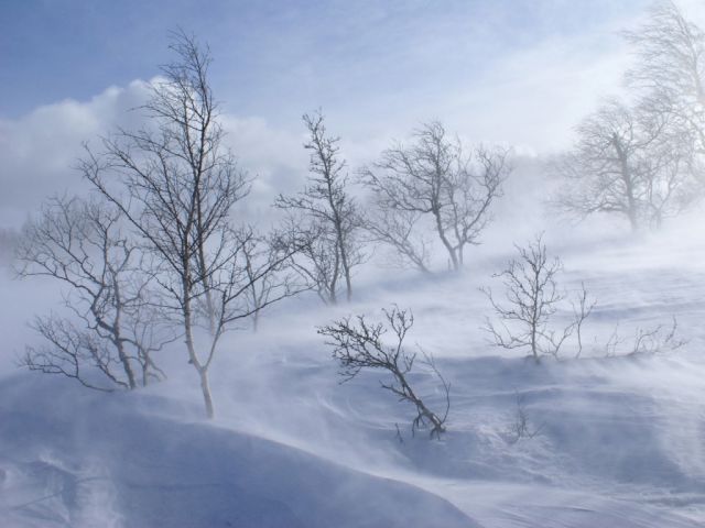 Во мне холодные метели