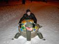 видимо этой черепахе что-то не нравится!!))))
