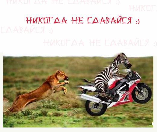 Николи не здавайся!