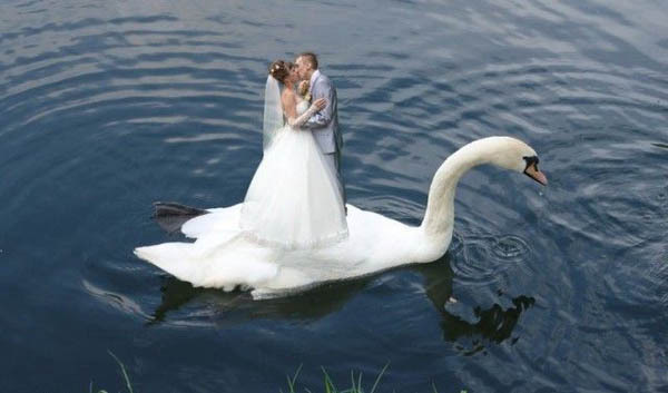 ТОП нелепых свадебных фото