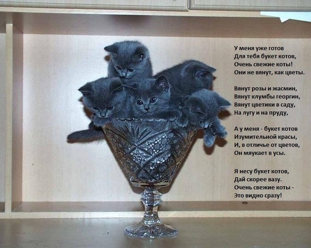 Мега позитивная открытка!