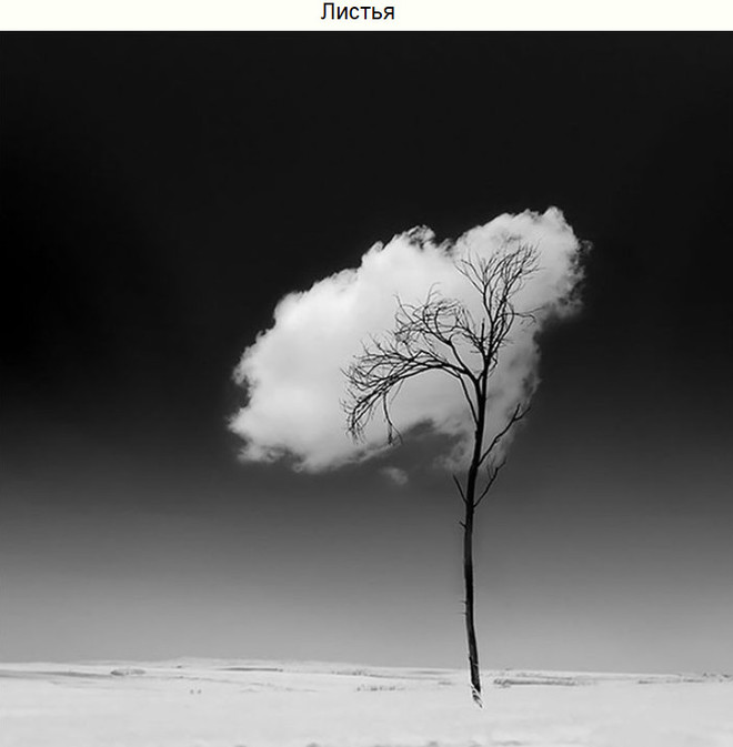 Показалось