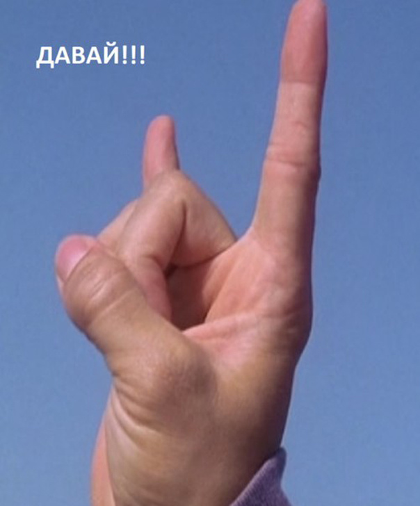 Муза на экзамене, приди!