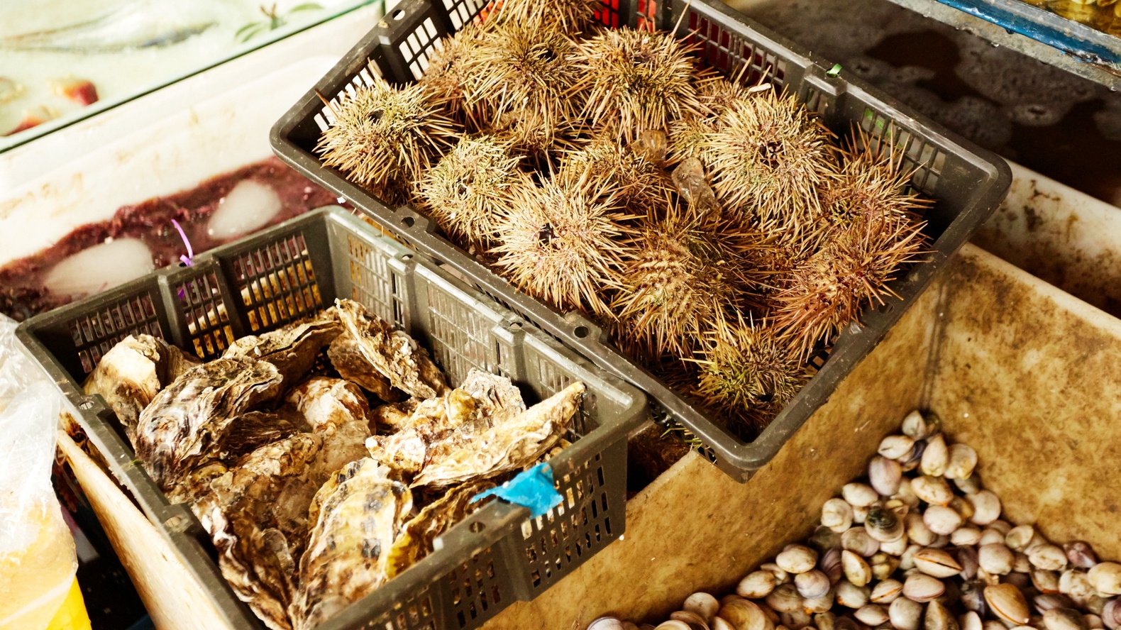 Інший Всесвіт очима популярного фотографа Андрія Саримсакова. Шанхай