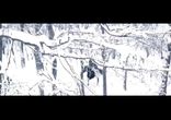 Ol'ga Makovetskaya - Neobratimost'