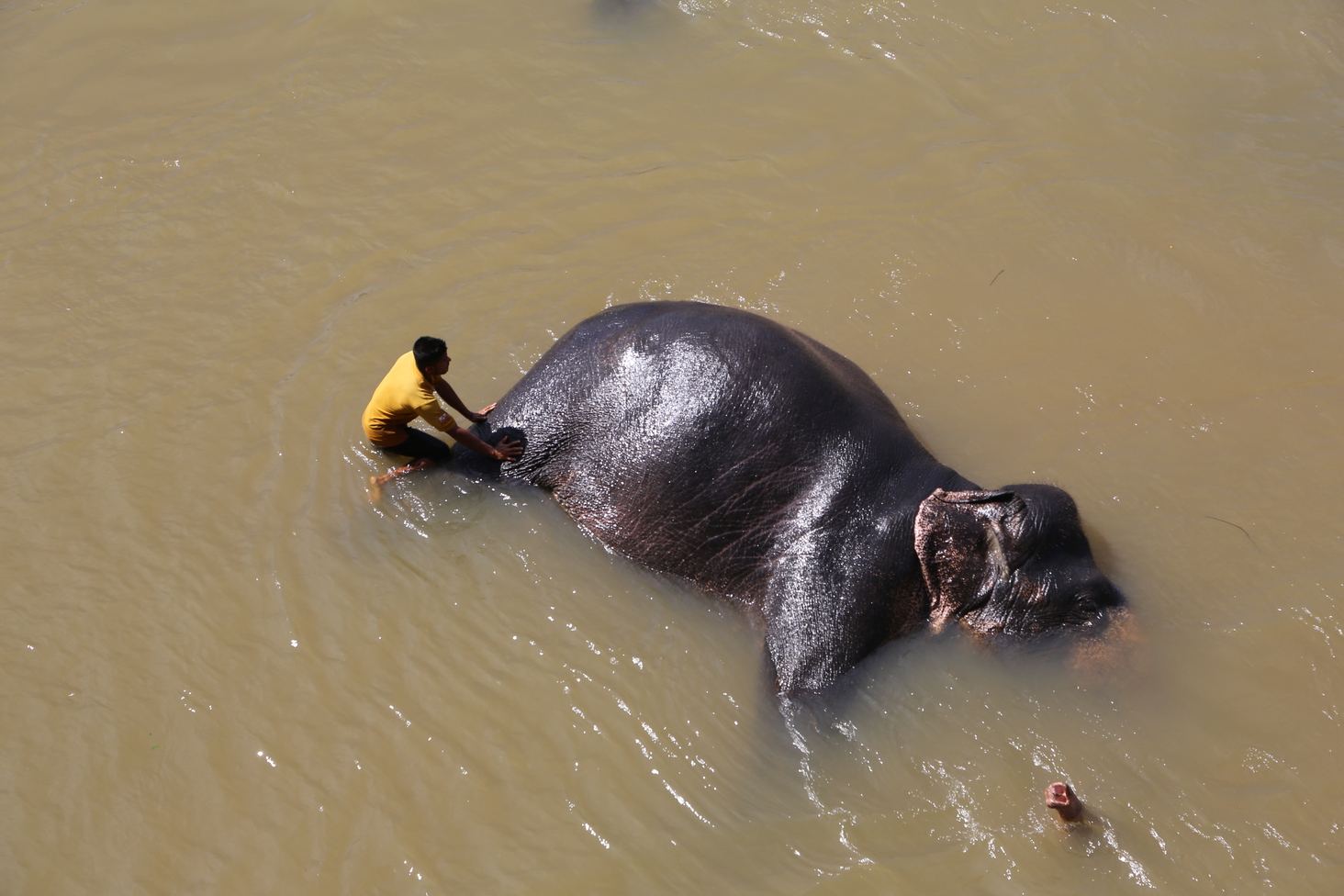 Дмитрий Каднай о Шри-Ланке: все, что вы не прочитаете в путеводителе об острове
